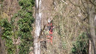 Rm mendrisio 23022026 19 copia