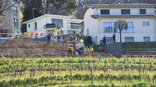 Rm vezia 04020426 copia