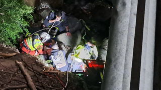 65fd5d25 ee3b 40cc 8887 7764588979d8