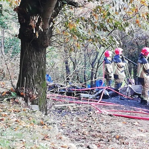 15394142524572077441944051321509