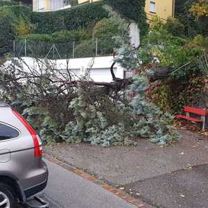 Whatsapp image 2018 10 30 at 10.46.51